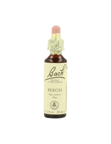 FLOR BACH Beech 20 ml Nº3