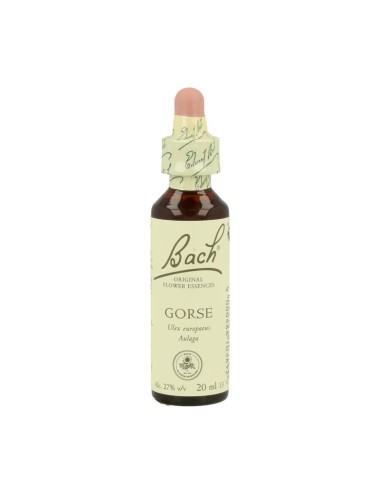 FLOR BACH gorse 20 ml Nº13