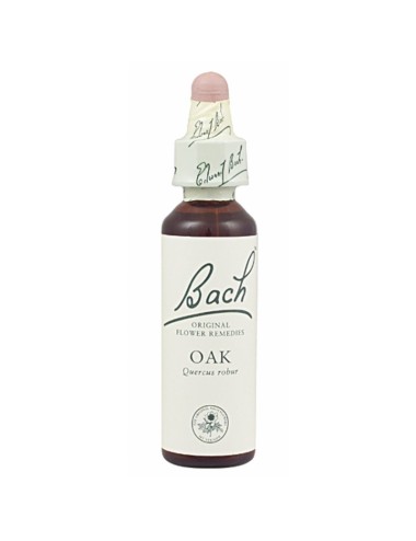 FLOR BACH oak 20 ml Nº22