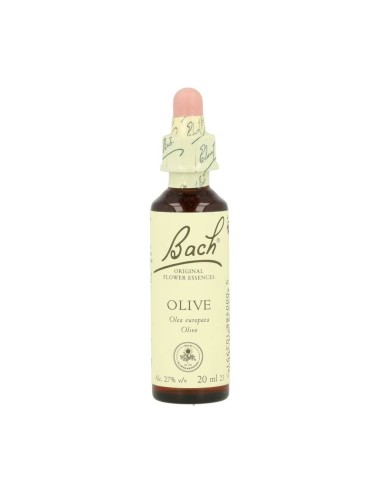 FLOR BACH olive 20 ml Nº23