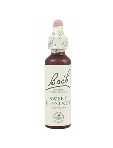 FLOR BACH sweet chestnut 20...