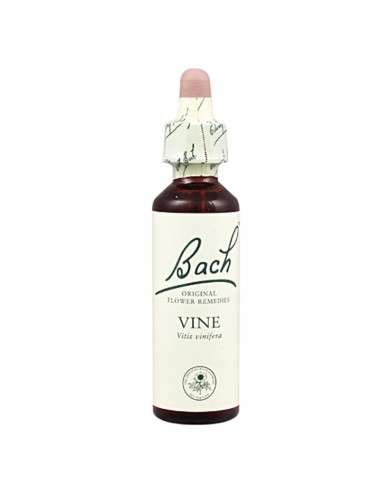 FLOR BACH vine 20 ml Nº32