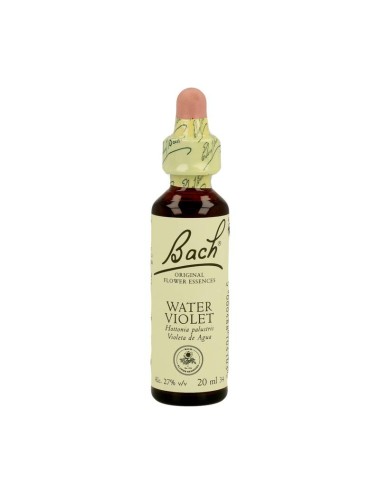 FLOR BACH water violet 20...