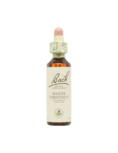 FLOR BACH white chestnut 20...