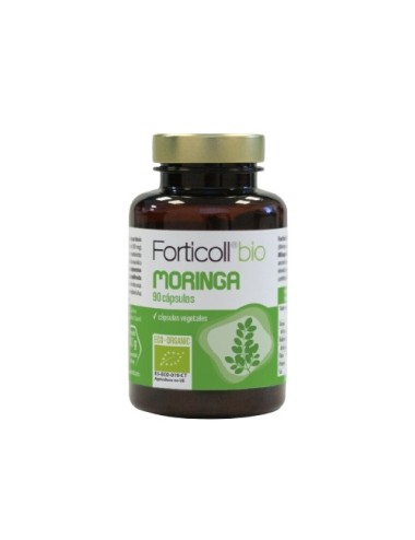 Moringa FORTICOLL 90...