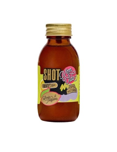 Shot fibra KOMVIDA 100 ml BIO