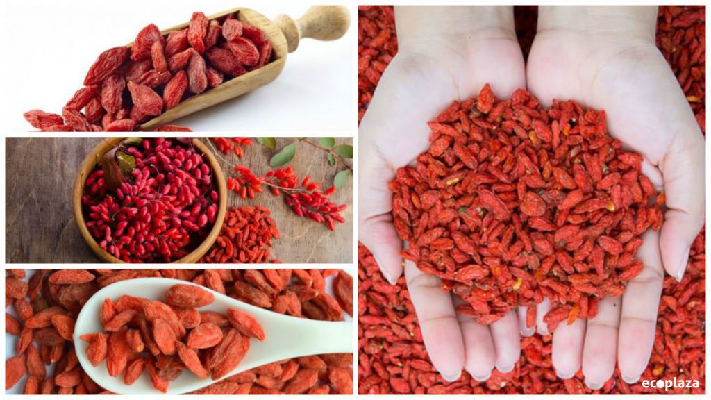 Bayas de Goji, la fruta del Himalaya