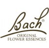 FLORES DE BACH